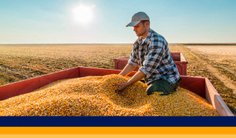 Armazenamento eficiente: o novo foco da rentabilidade no agro