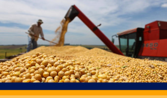 Pós-colheita: o compromisso que sustenta os resultados do agro