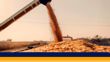 Armazenamento de grãos: o segredo está na manutenção das peças certas